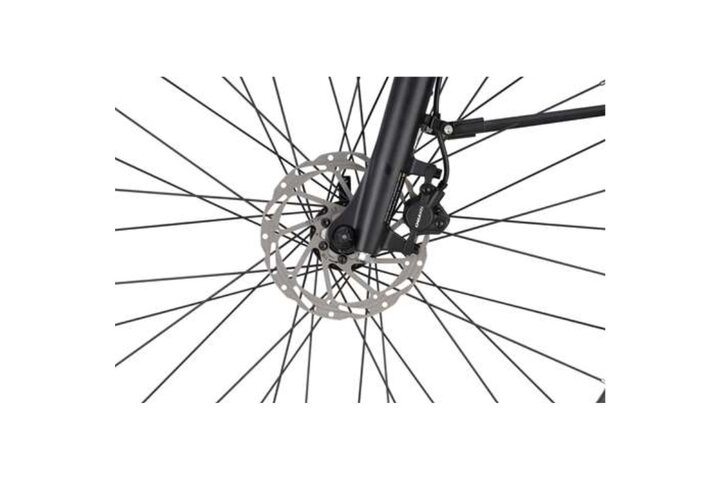 Beaufort Bandit Elektrische Damesfiets 10