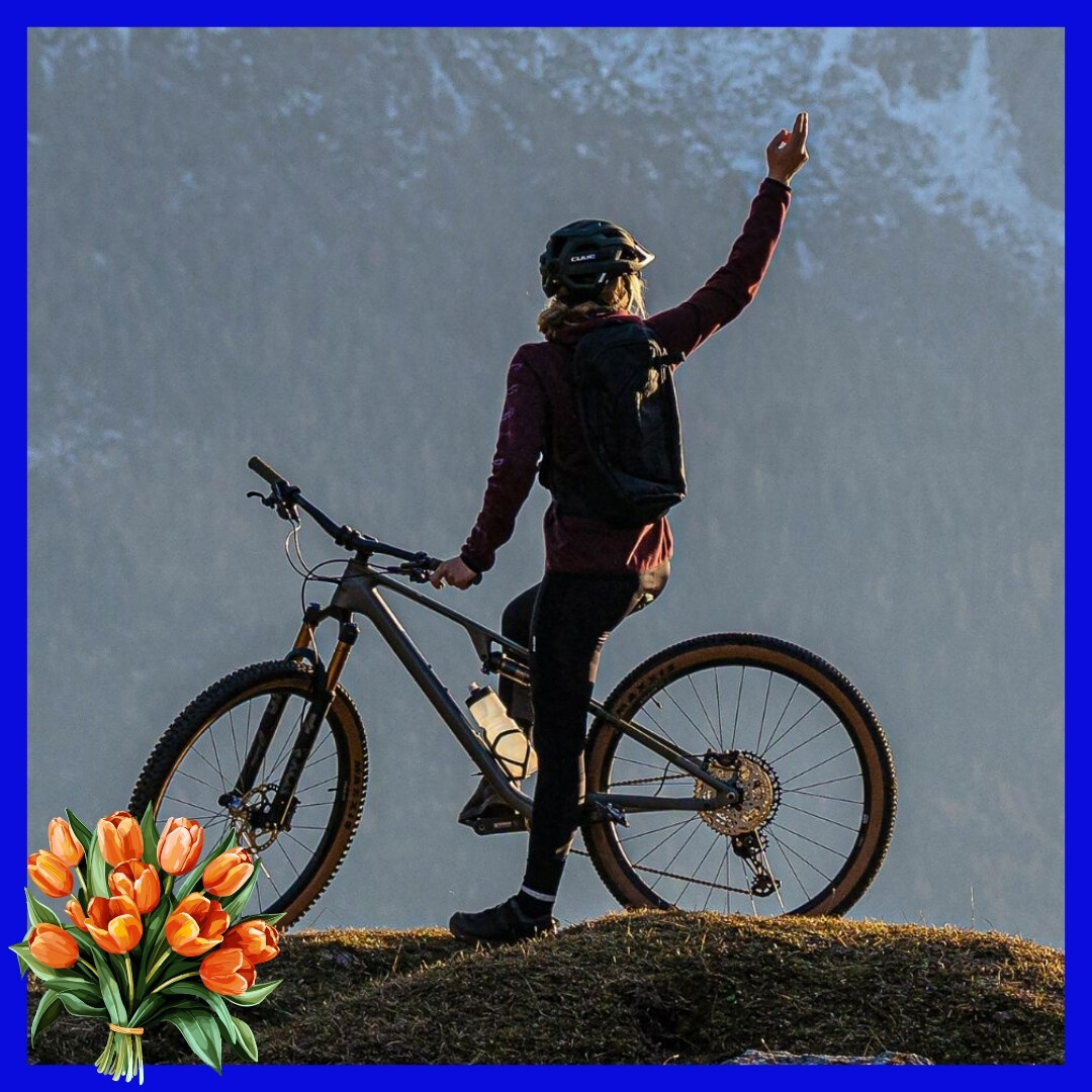Mountainbikes