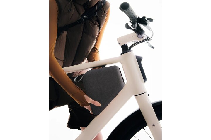 Lemmo One MK2 Dynamic Edition Elektrische Herenfiets 10v XL (1.85m -2.00m) 18