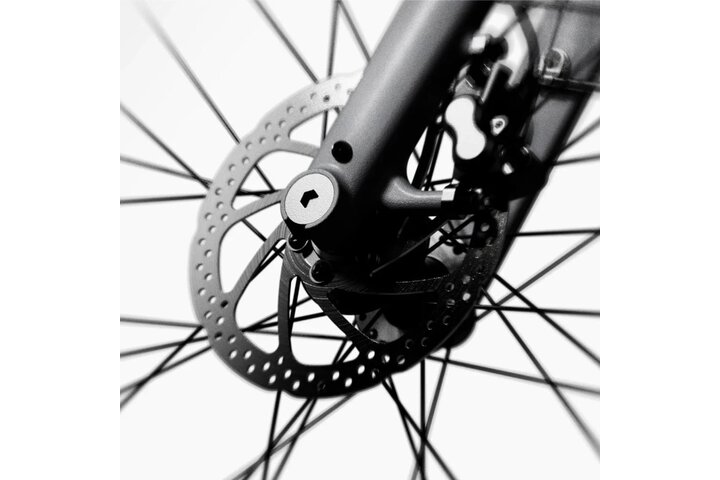 Lemmo One MK2 Dynamic Edition Elektrische Herenfiets 10v XL (1.85m -2.00m) 13