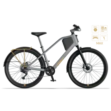 Lemmo Lemmo One MK2 Dynamic Edition Elektrische Damesfiets 10v