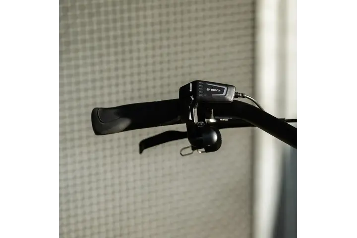 Cortina E-Common Integrated 28 inch 57cm Bosch Active Line Plus DB7 7