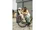 Cortina E-Common Integrated Family 28 inch 50cm Enviolo 8 klein