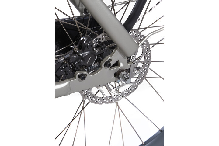 Cortina E-Nite Elektrische Damesfiets 28inch 57cm DB7 16