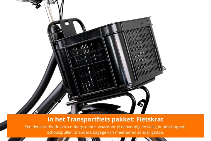 Altec Retro Transportfiets Dames 28 inch 57cm 3v 19