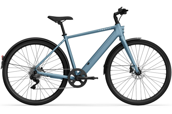 TENWAYS CGO600 Plus Elektrische Herenfiets M (1.70m - 1.80m) 8v 2