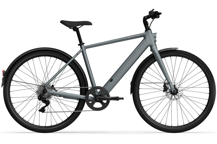 TENWAYS CGO600 Plus Elektrische Herenfiets M (1.70m - 1.80m) 8v 1