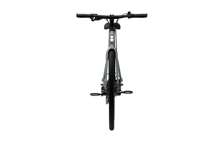 TENWAYS CGO600 Plus Elektrische Herenfiets M (1.70m - 1.80m) 8v 6