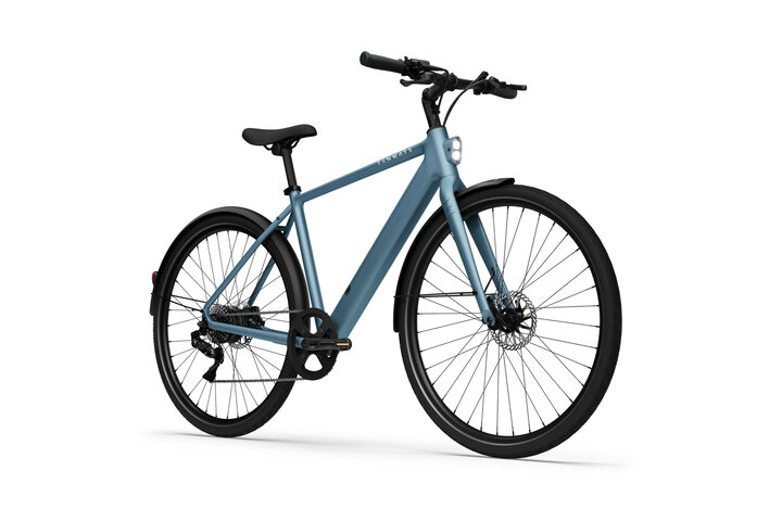 TENWAYS CGO600 Plus Elektrische Herenfiets M (1.70m - 1.80m) 8v 3