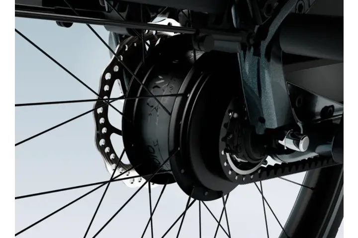 Tenways Longtail Duo Belt Elektrische Fiets 26 inch Enviolo 11