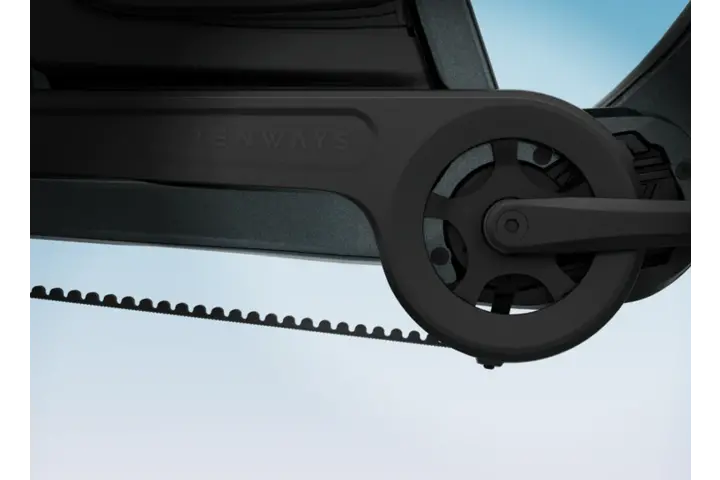 Tenways Longtail Duo Belt Elektrische Fiets 26 inch Enviolo 12