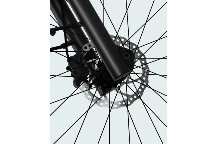 Tenways Longtail Duo Belt Elektrische Fiets 26 inch Enviolo 16
