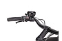 Urban Arrow Family Active Line Plus Elektrische Bakfiets 5 klein