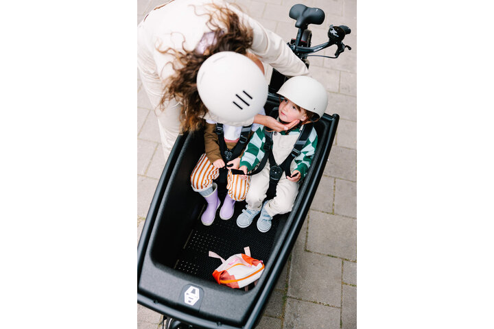 Urban Arrow Family Performance Line Essential Elektrische Bakfiets *Belt - Enviolo Aandrijving* 20