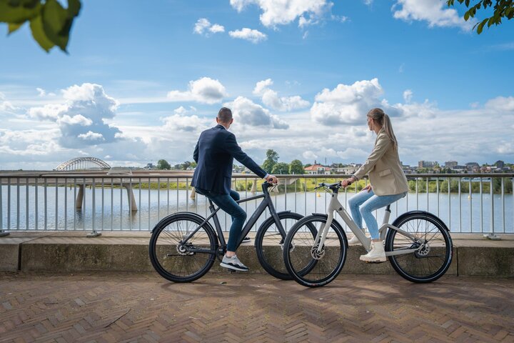 REANY Bike W1 Pro Elektrische Damesfiets Carbon Belt Drive 8