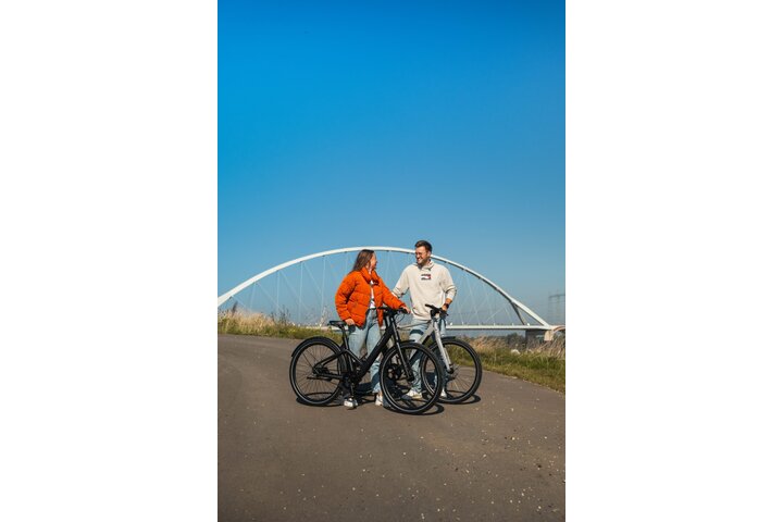 REANY Bike W1 Elektrische Damesfiets Belt Drive 3
