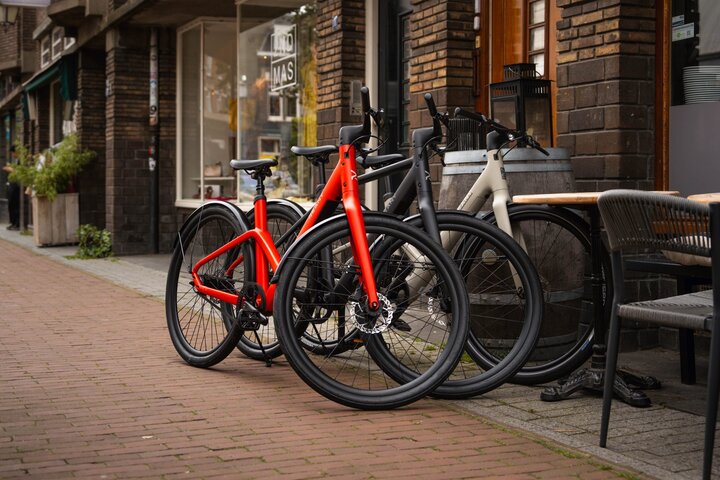 REANY Bike W1 Elektrische Damesfiets Belt Drive 9