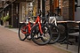 REANY Bike W1 Elektrische Damesfiets Belt Drive 9 klein