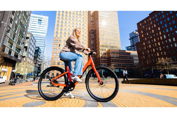REANY Bike W1 Elektrische Damesfiets Belt Drive 8