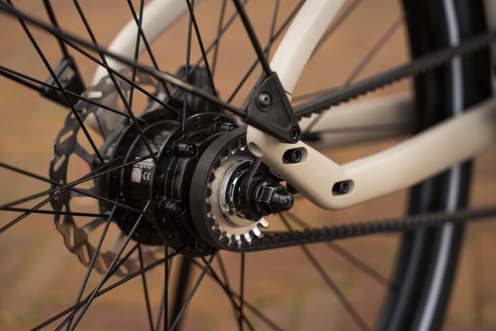 REANY Bike W1 Pro Elektrische Damesfiets Carbon Belt Drive 18