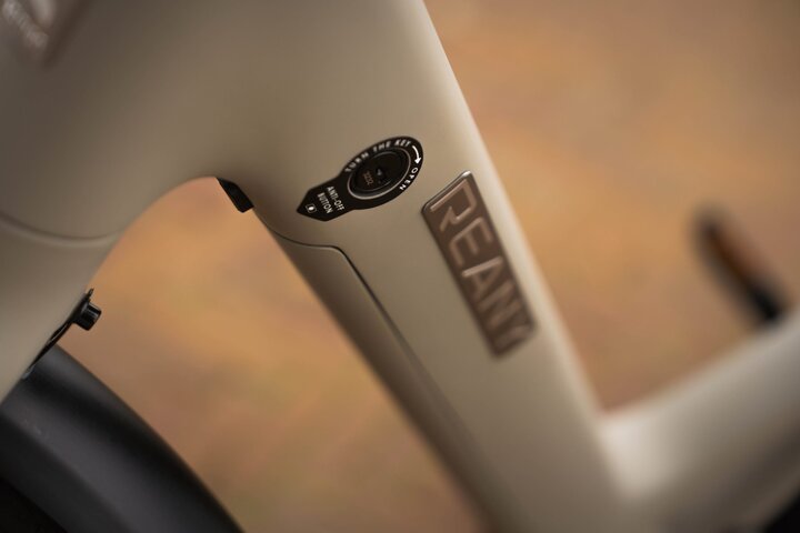 REANY Bike W1 Pro Elektrische Damesfiets Carbon Belt Drive 19