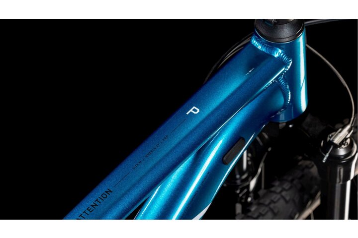 CUBE ATTENTION PRO 29 inch Mountainbike L (1.77m - 1.82m) 12v 5