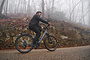 TENWAYS AGO AIR Elektrische Damesfiets 9v 15 klein