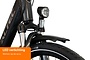 Altec Montana Next E-Bike Dames 28 inch 48cm Middenmotor 7v Hydraulische Schijfremmen 10 klein