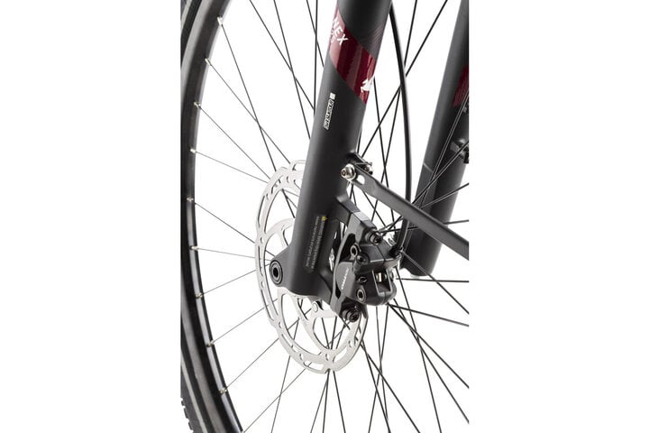 Pegasus Ravenna Evo 7F Belt elektrisch 625 WH 55cm Rood 6