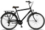 Altec Metro Herenfiets 28 inch 55cm 7v 1 klein