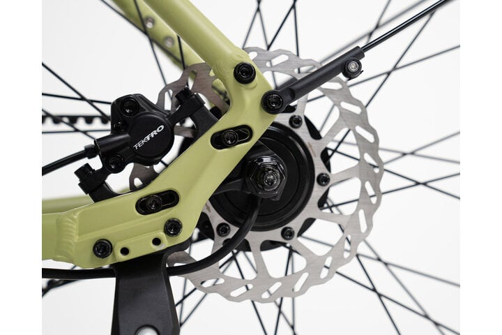 TENWAYS CGO600 PRO Classic Edition Elektrische Herenfiets XL (1.85m - 1.95m) 6