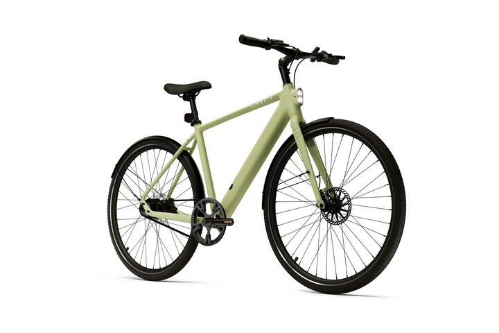 TENWAYS CGO600 PRO Classic Edition Elektrische Herenfiets M (1.70m - 1.80m) 6