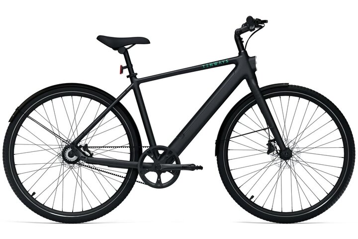 TENWAYS CGO600 PRO Classic Edition Elektrische Herenfiets M (1.70m - 1.80m) 2