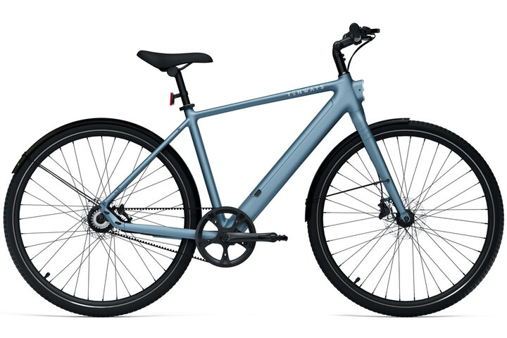 TENWAYS CGO600 PRO Classic Edition Elektrische Herenfiets XL (1.85m - 1.95m) 2