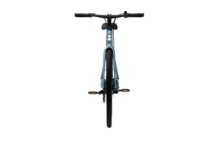 TENWAYS CGO600 PRO Elektrische Herenfiets XL (1.85m - 1.95m) 8