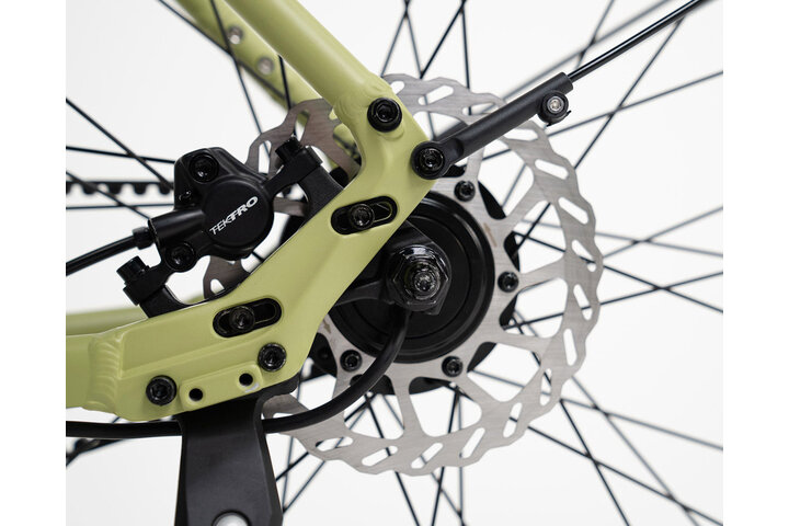 TENWAYS CGO600 PRO Classic Edition Elektrische Herenfiets L (1.80m - 1.95m) 6