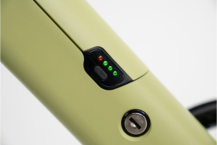 TENWAYS CGO600 PRO Classic Edition Elektrische Herenfiets L (1.80m - 1.95m) 7