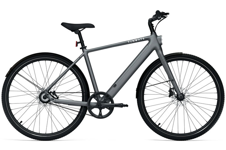 TENWAYS CGO600 PRO Classic Edition Elektrische Herenfiets XL (1.85m - 1.95m) 3