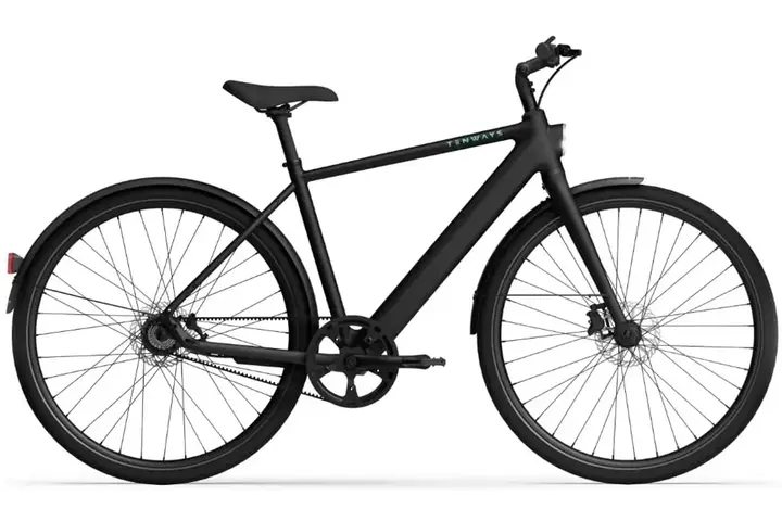 TENWAYS CGO600 PRO Elektrische Herenfiets XL (1.85m - 1.95m) 1