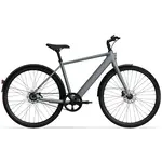 TENWAYS CGO600 PRO Elektrische Herenfiets XL (1.85m - 1.95m)