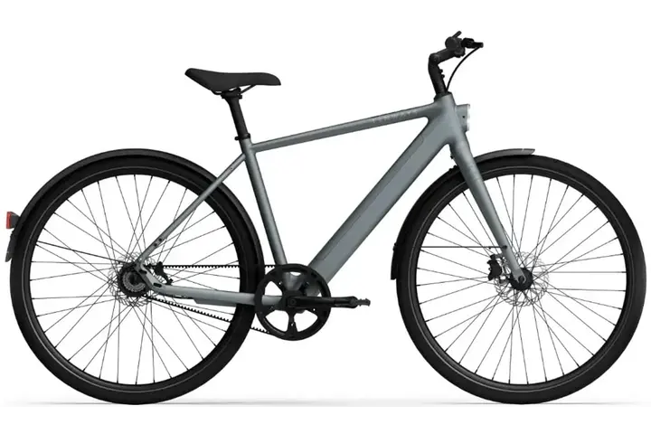TENWAYS CGO600 PRO Elektrische Herenfiets XL (1.85m - 1.95m) 3