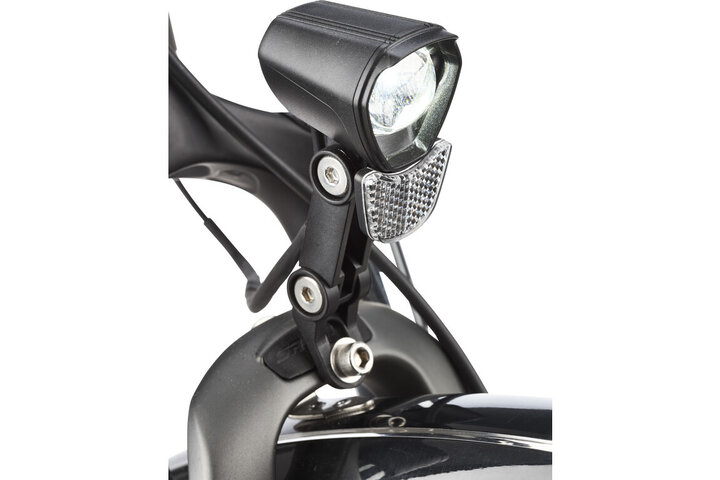 Pegasus Siena E7F Elektrische Damesfiets 60cm 7v 5