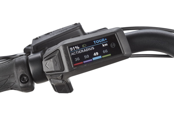 Pegasus Siena E7F Elektrische Damesfiets 60cm 7v 2