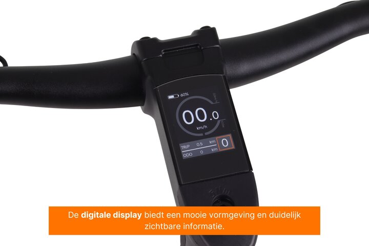 Altec Dance Elektrische Damesfiets 28 inch 48cm Belt 8