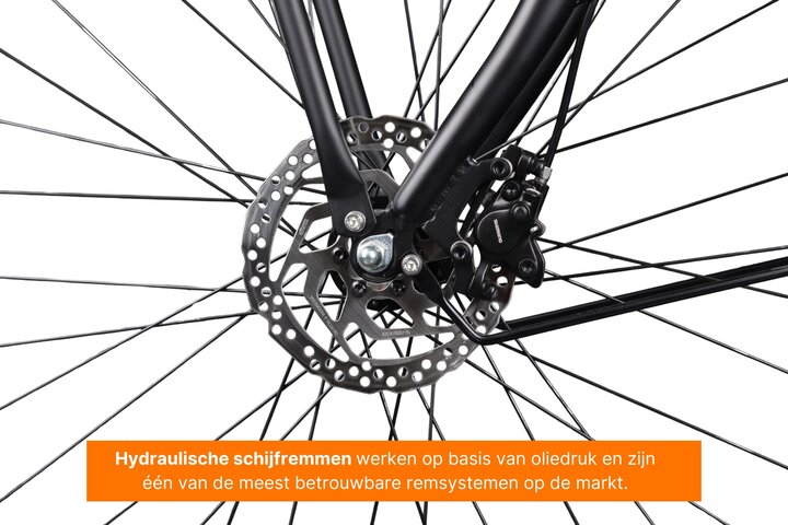 Altec Sakura Elektrische Transportfiets 28 inch Hydraulische Schijfrem 53cm 4