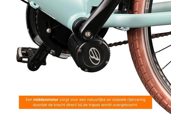 Eluxo E-Voltage City Elektrische Damesfiets 28 inch 49cm 8v 14