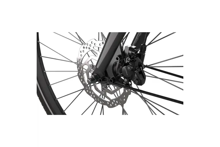 Cortina E-Blau Herenfiets 28 inch 61cm DB7 belt 16