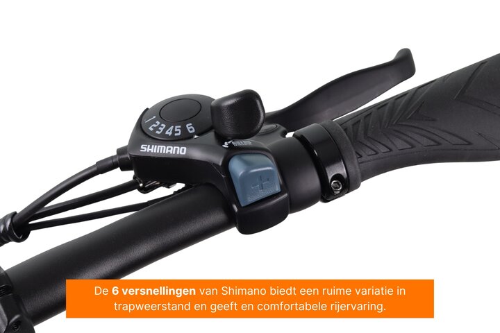 MS Energy I10 Elektrische Vouwfiets 20 inch 6v 8