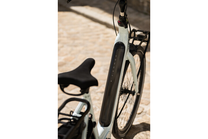 Cortina E-Common Integrated 28 inch 61cm Bosch Active Line Plus DB7 9
