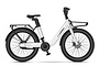 MS Energy C 102 Elektrische Damesfiets 28 inch 48cm 1 klein